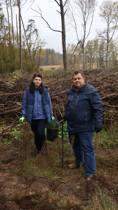 Участие БГАМЛИ в добровольной акции «Дай лесу новае жыццё!»